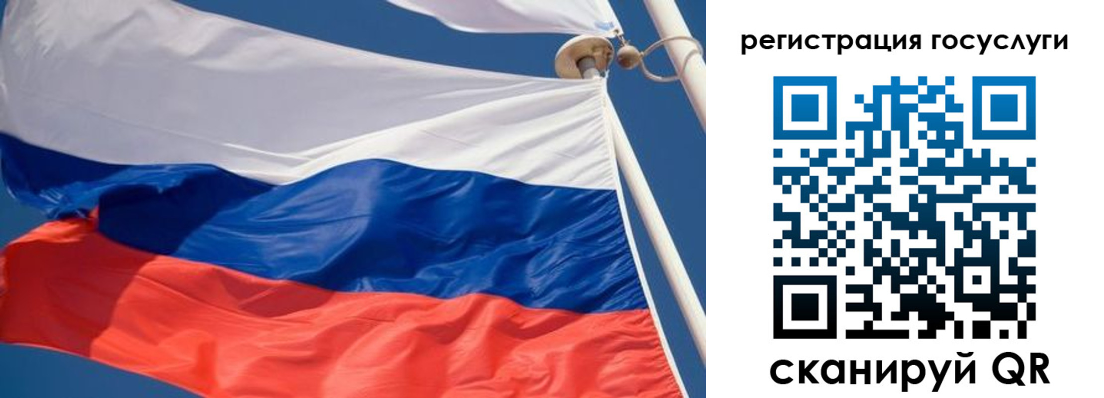 прописка 2025 в Новомосковске